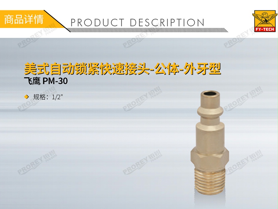GW-130971599-飛鷹 PM-30-1